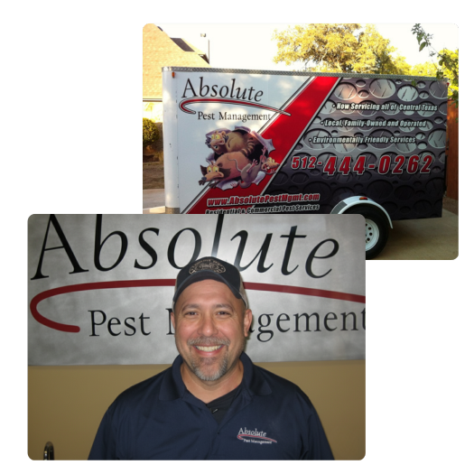 austin pest control service